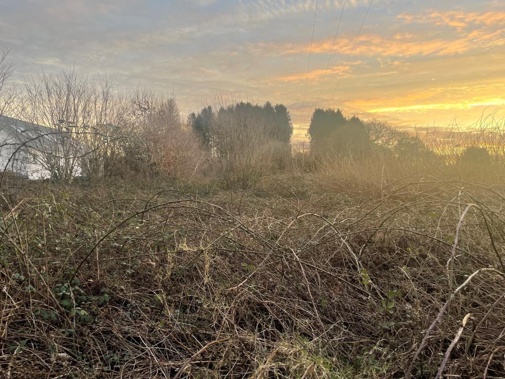 Lot: 55 - FREEHOLD LAND AND ROAD - Overgrown land